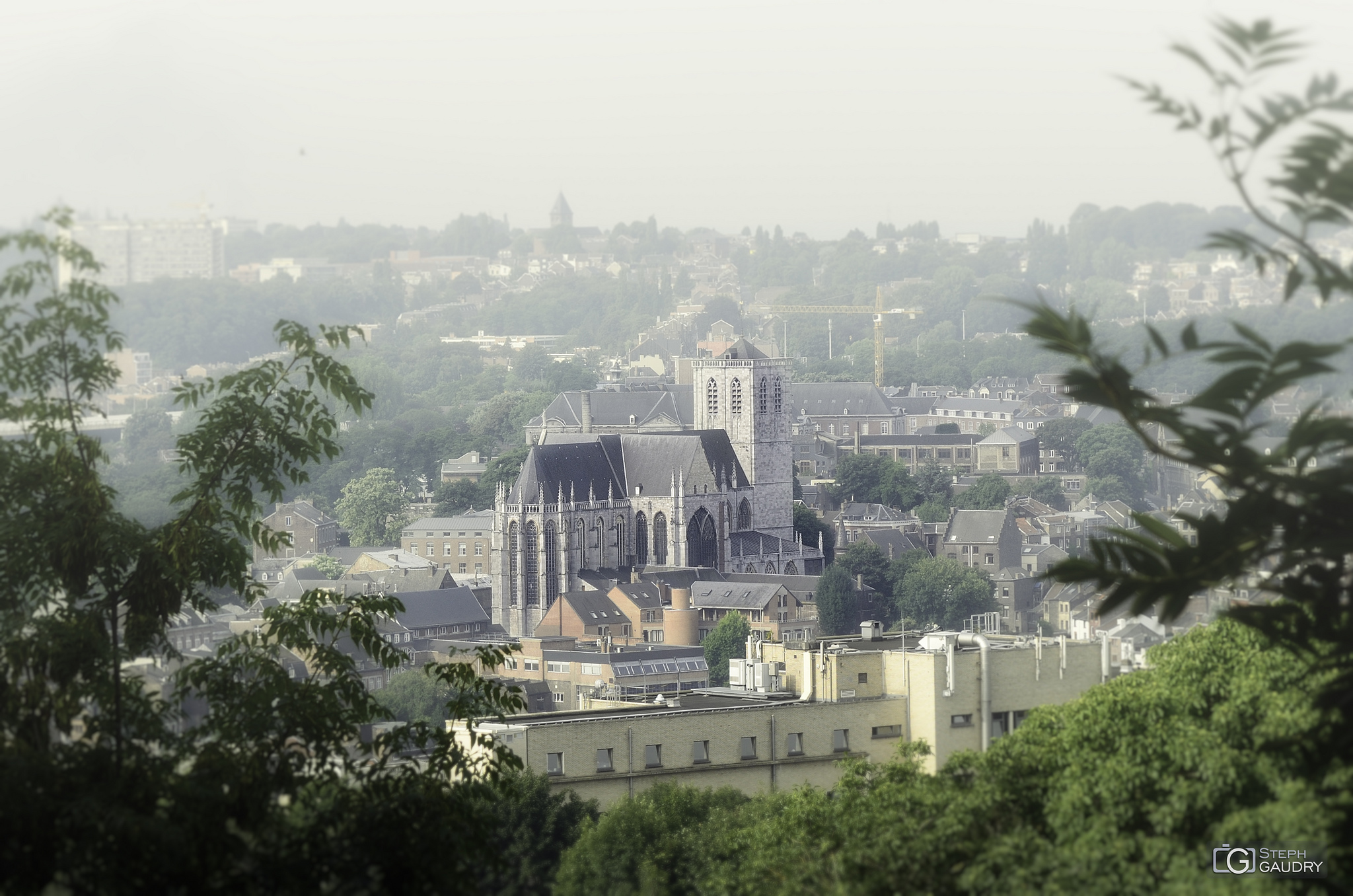 Liège, Basilique Saint-Martin [Cliquez pour lancer le diaporama]