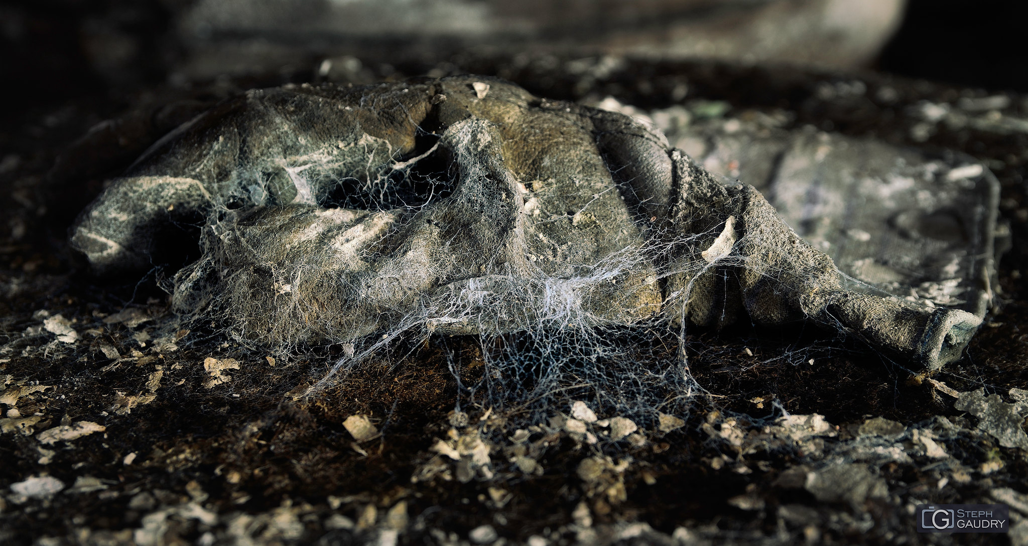 La cristallerie abandonnée / Le gant de Spiderman