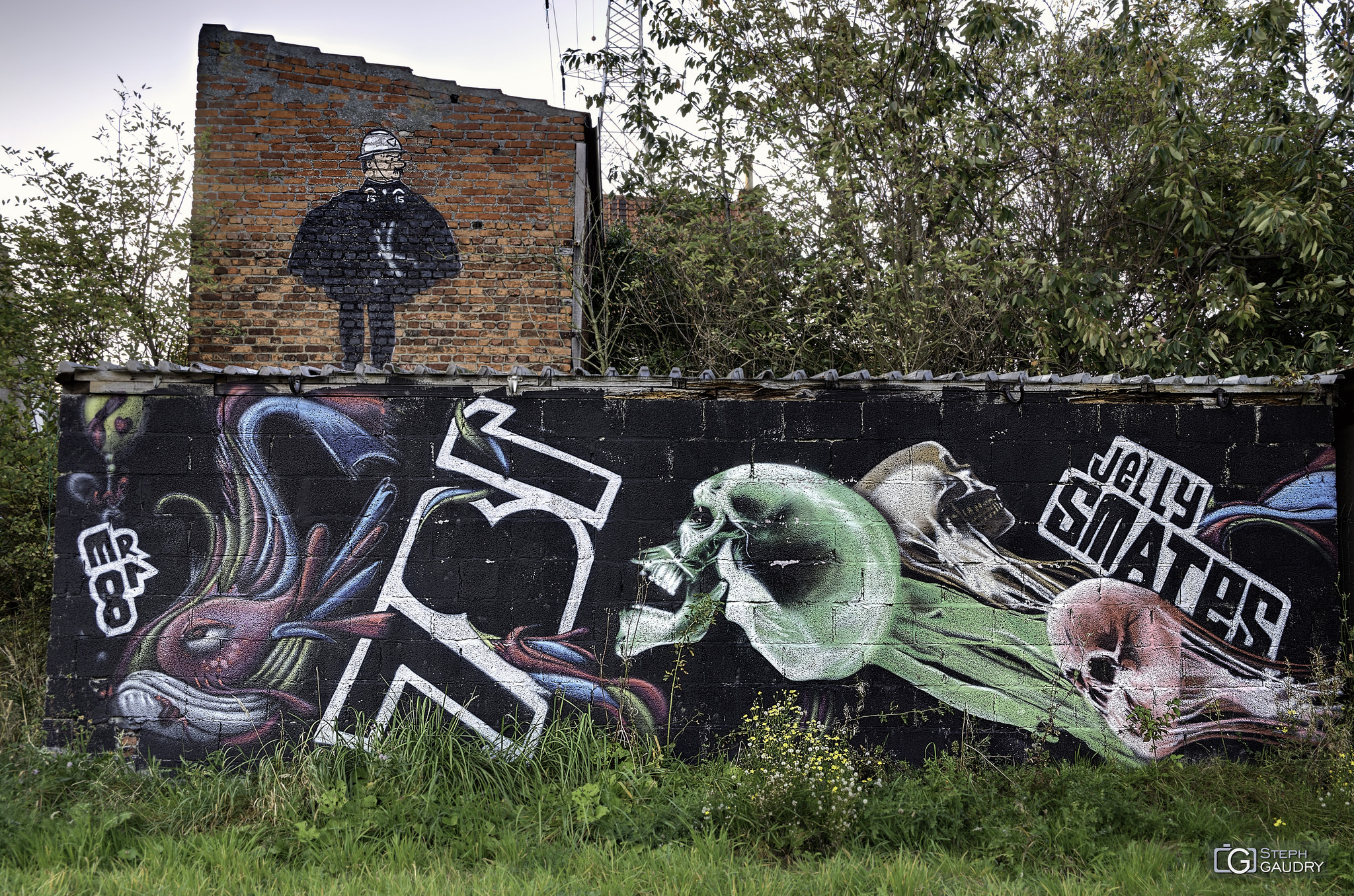 Fresques et graffiti / Doel, Officer No. 15