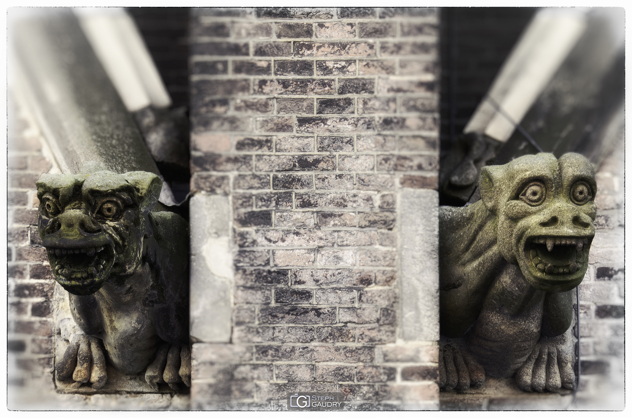 Catharinakerk Gargoyles