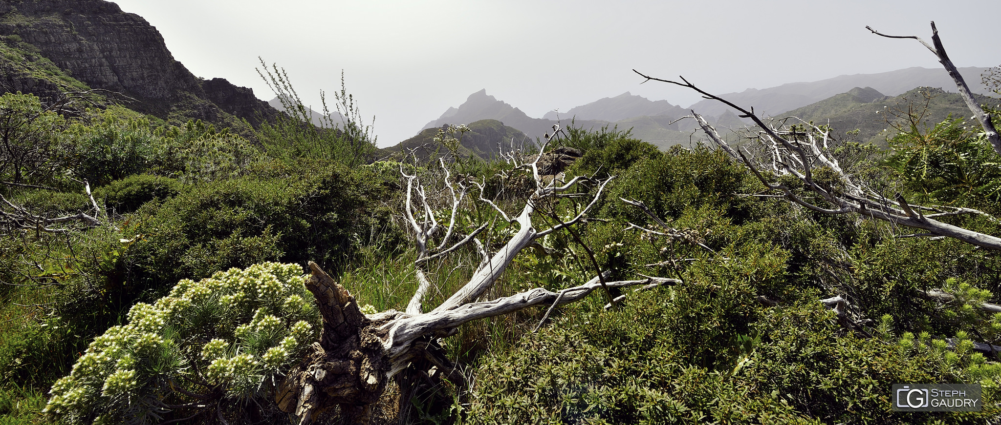 Barranco de Masca [Klik om de diavoorstelling te starten]