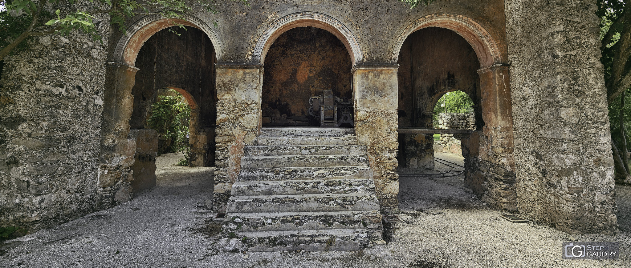 Lost city / Ancienne hacienda et plantation d'agaves