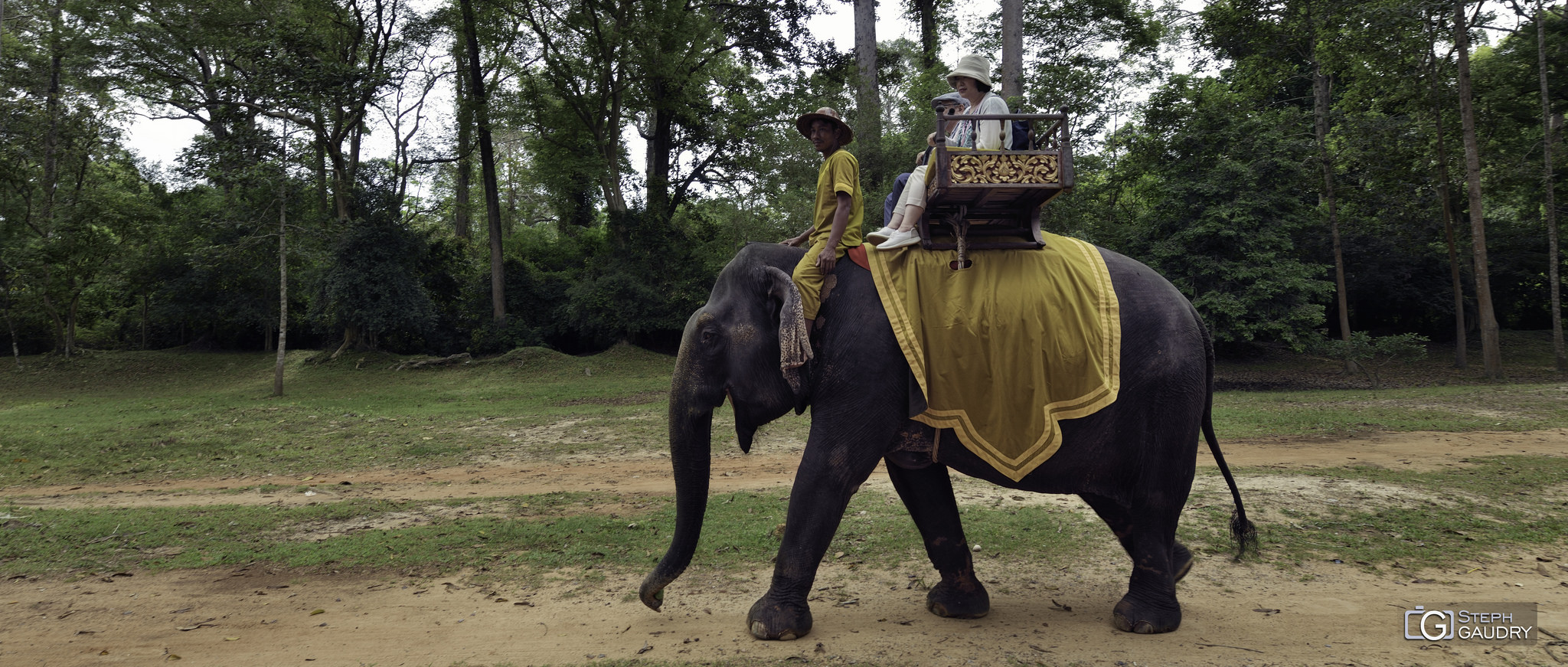 Eléphant au Cambodge [Cliquez pour lancer le diaporama]