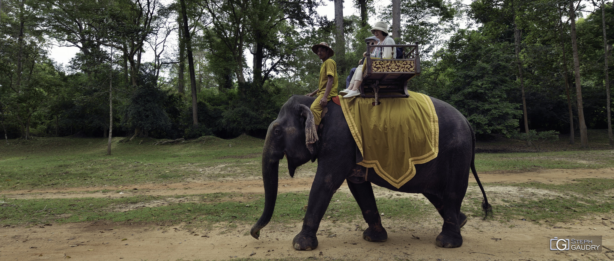 Eléphant au Cambodge [Klik om de diavoorstelling te starten]