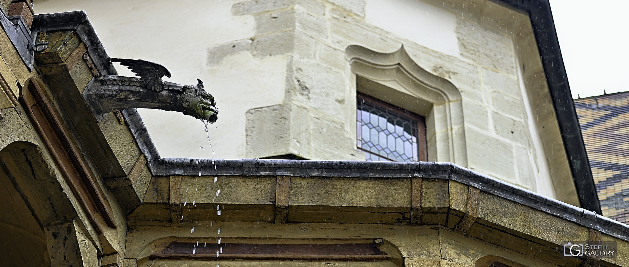 Brol / Gargouille des hospices de Beaune