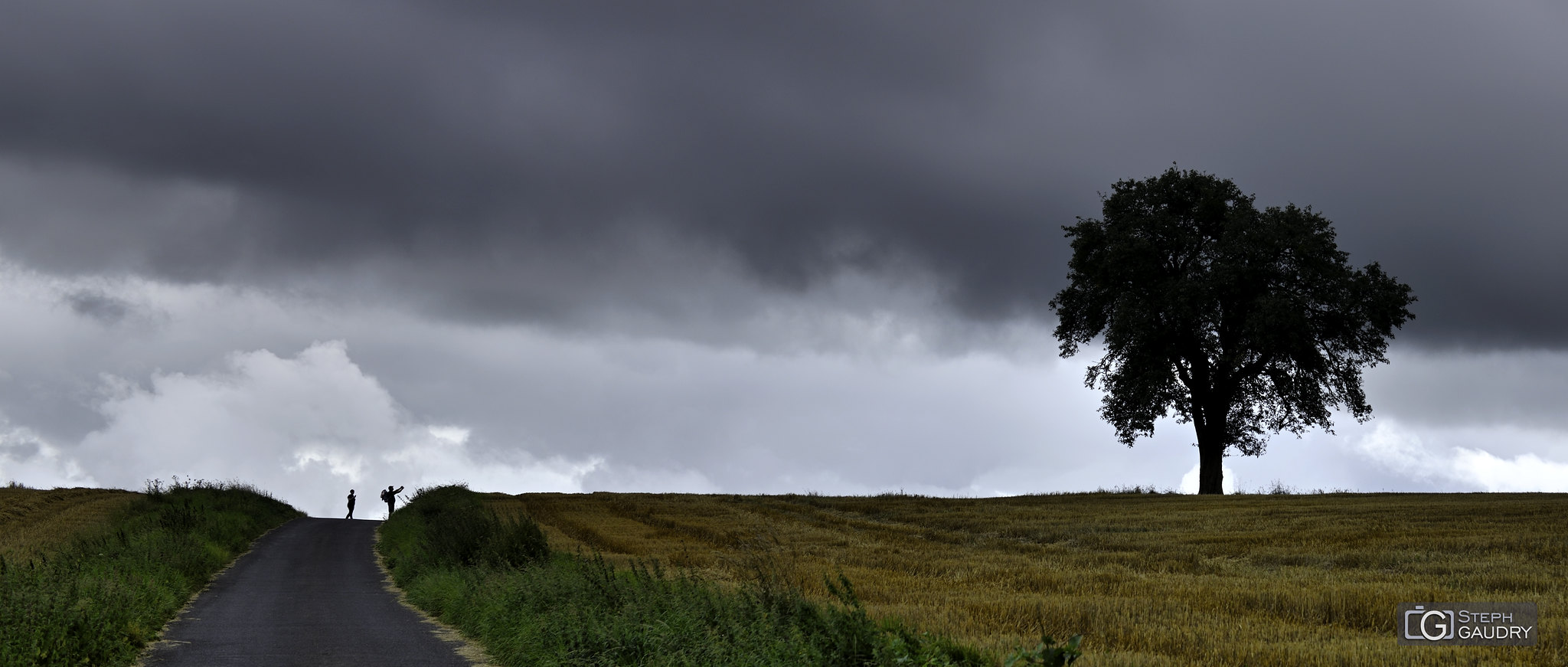 Mullerthal trail (LUX) / les ombres chinoises en rando