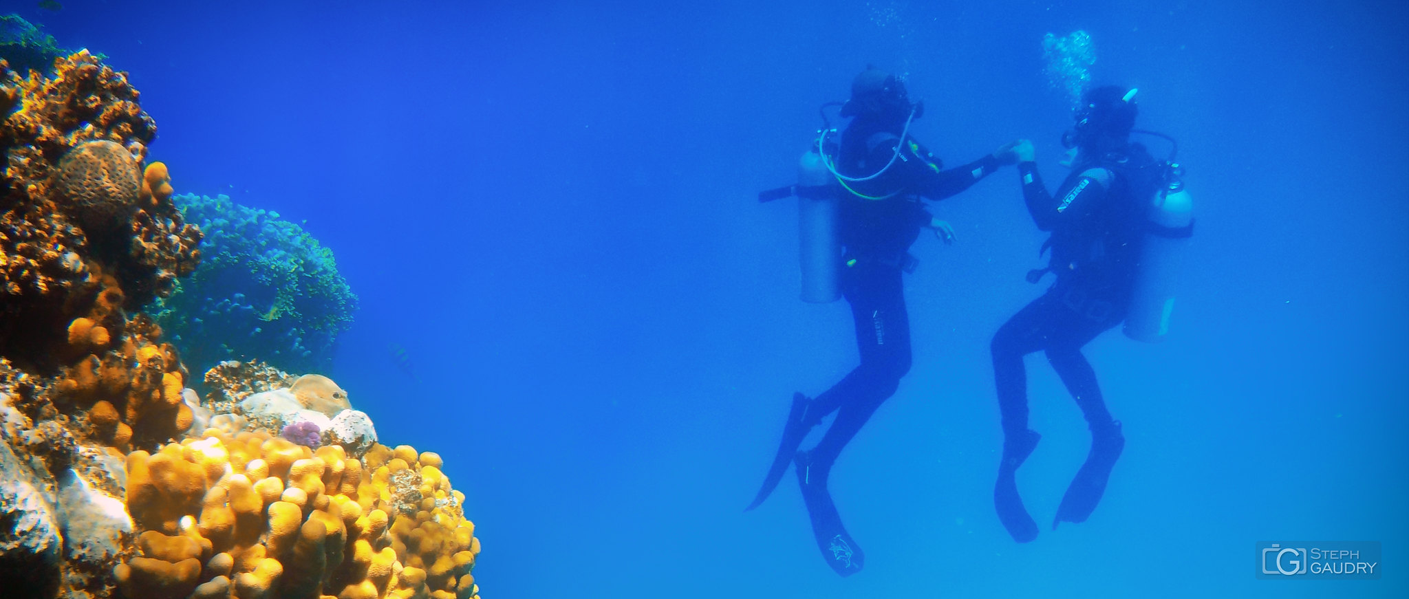 Plongeurs en Mer Rouge [Click to start slideshow]