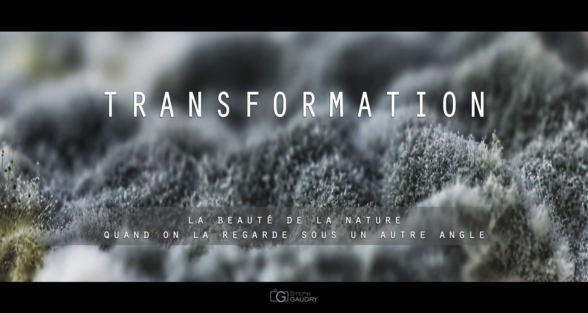 TRANSFORMATION [Click to start slideshow]