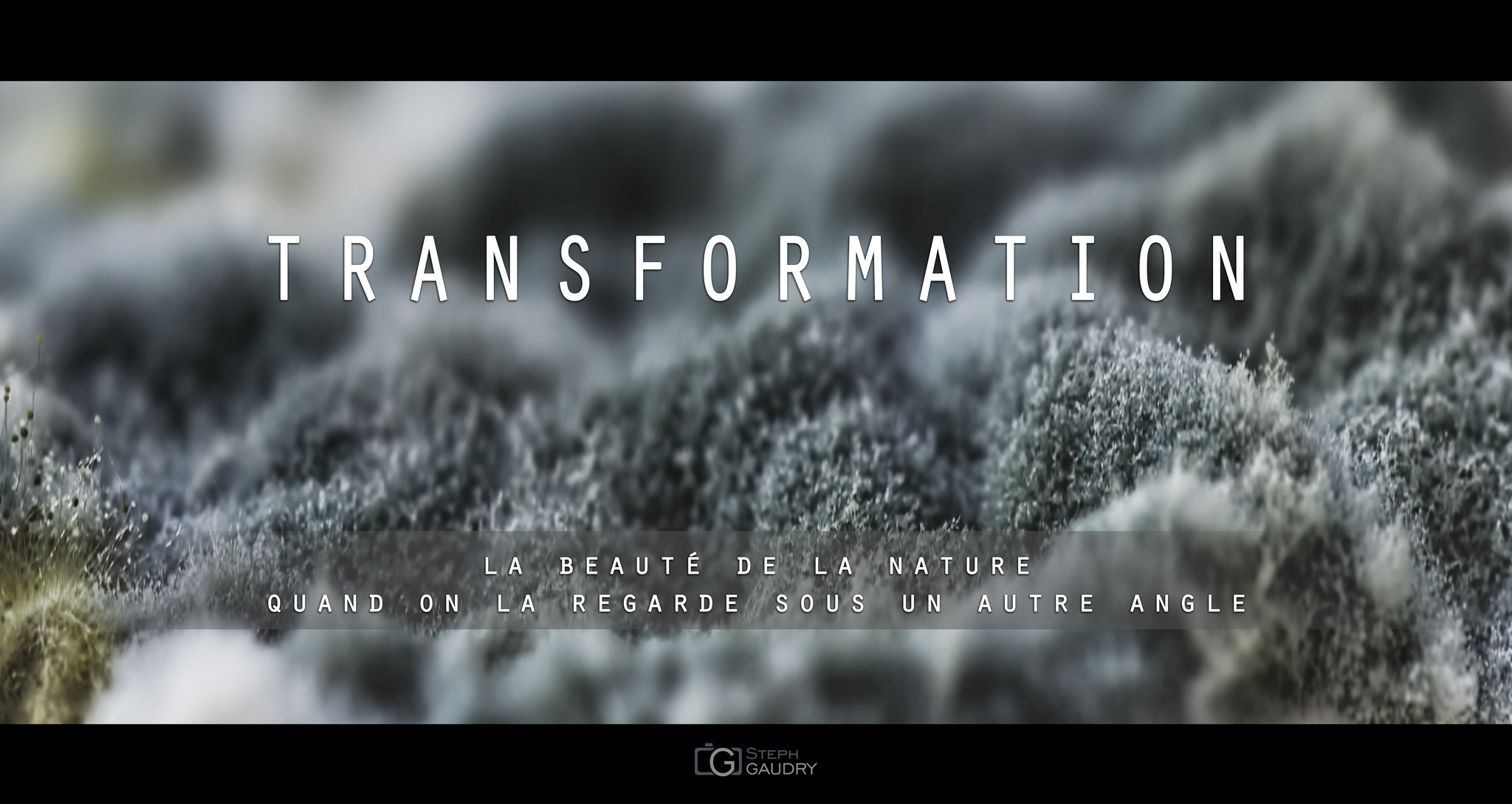 TRANSFORMATION [Klicken Sie hier, um die Diashow zu starten]