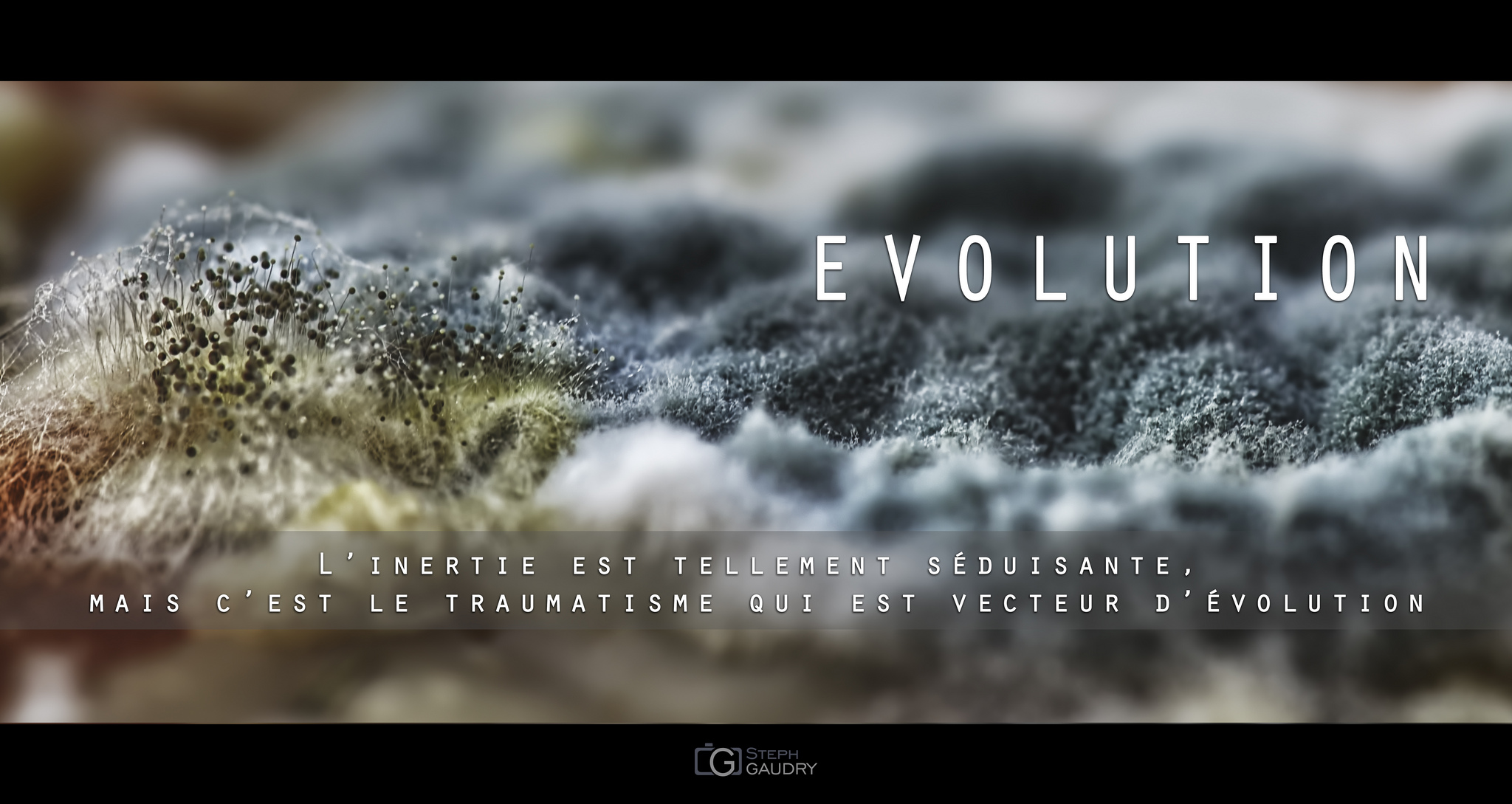 EVOLUTION [Cliquez pour lancer le diaporama]