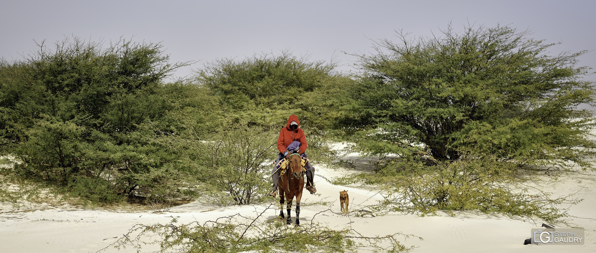 Boa Vista - Cap Vert / Photo 263560180346181781268002