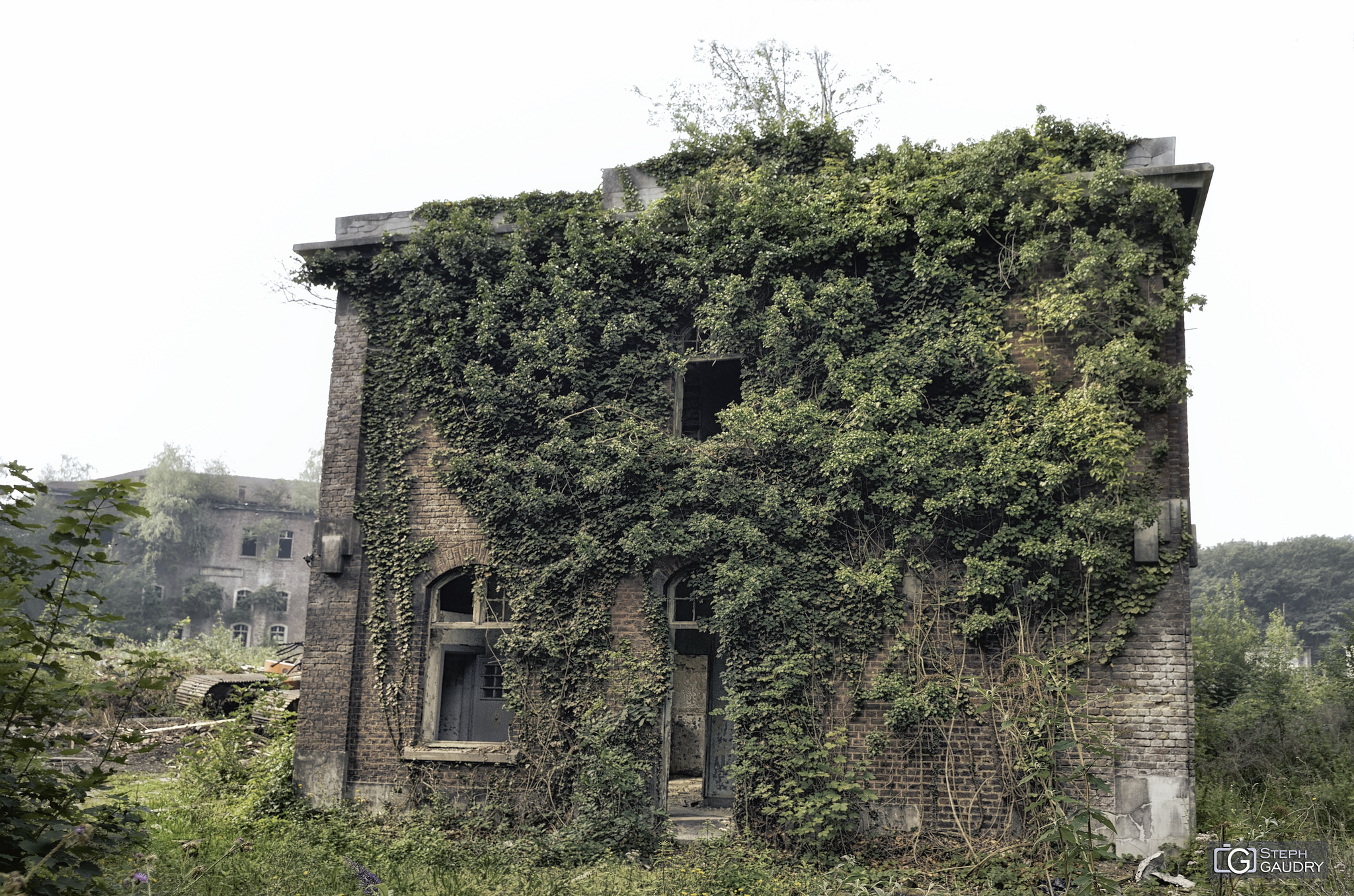 Fort de la chartreuse / La maison au lierre