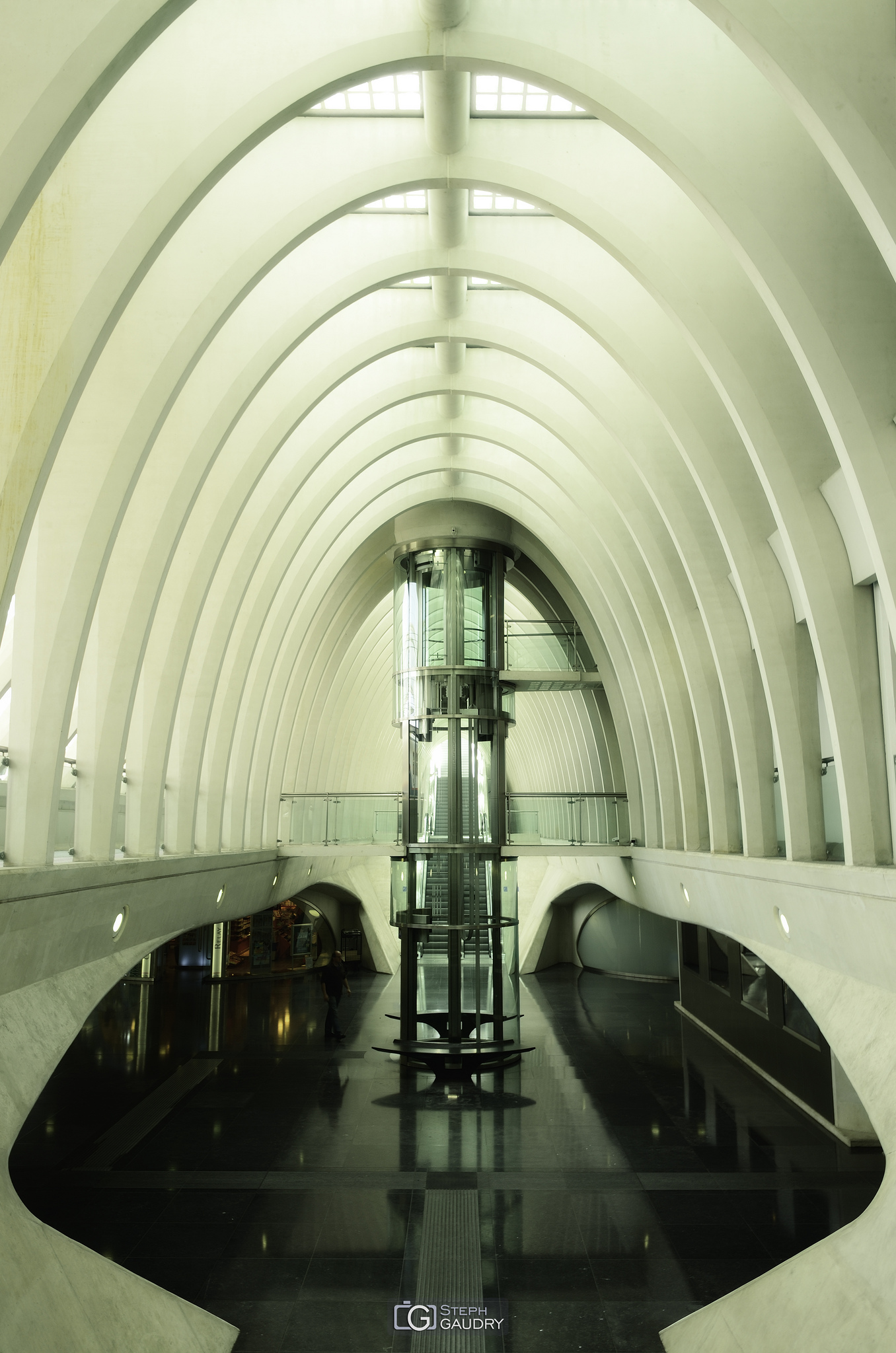 Architecture et graphisme / Liège Guillemins - une ossature de cétacé