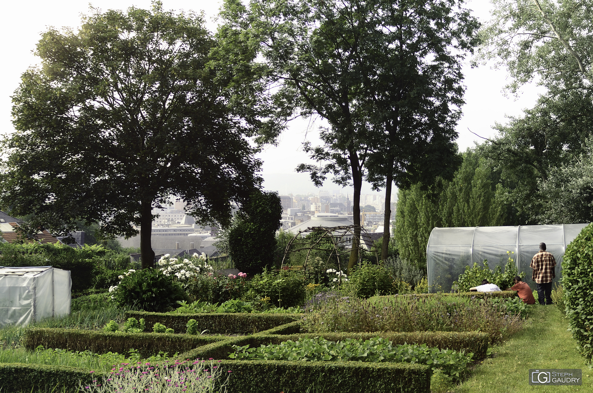 Liège, les potagers des coteaux [Cliquez pour lancer le diaporama]