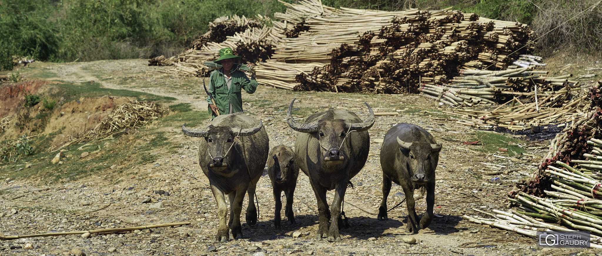 Vietnam / Binh Thuan, Vietnam - 2018_04_29_144218