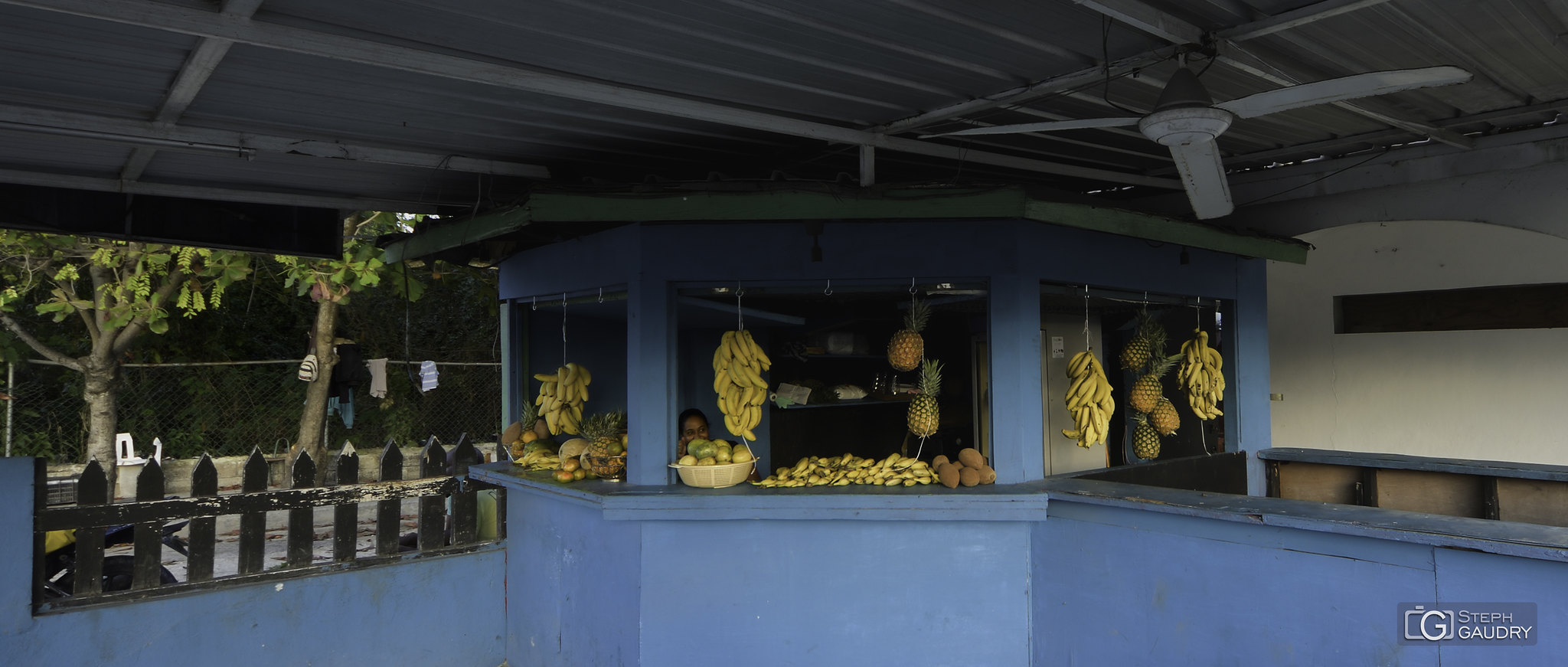 Bleu/jaune - les bananes [Klik om de diavoorstelling te starten]