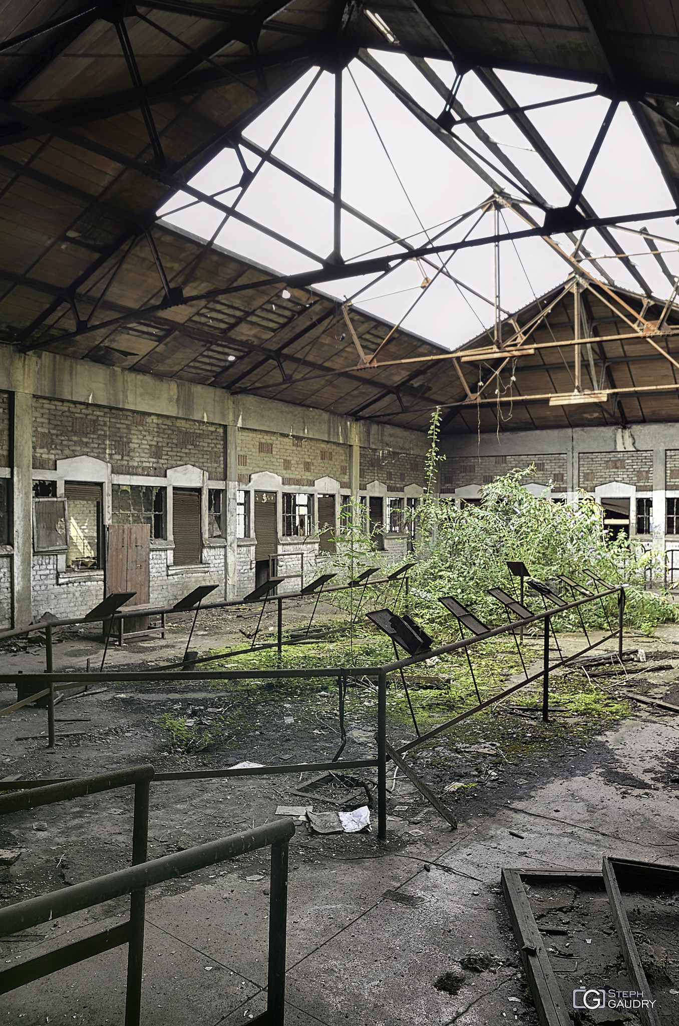 Charbonnages / Old glass roof