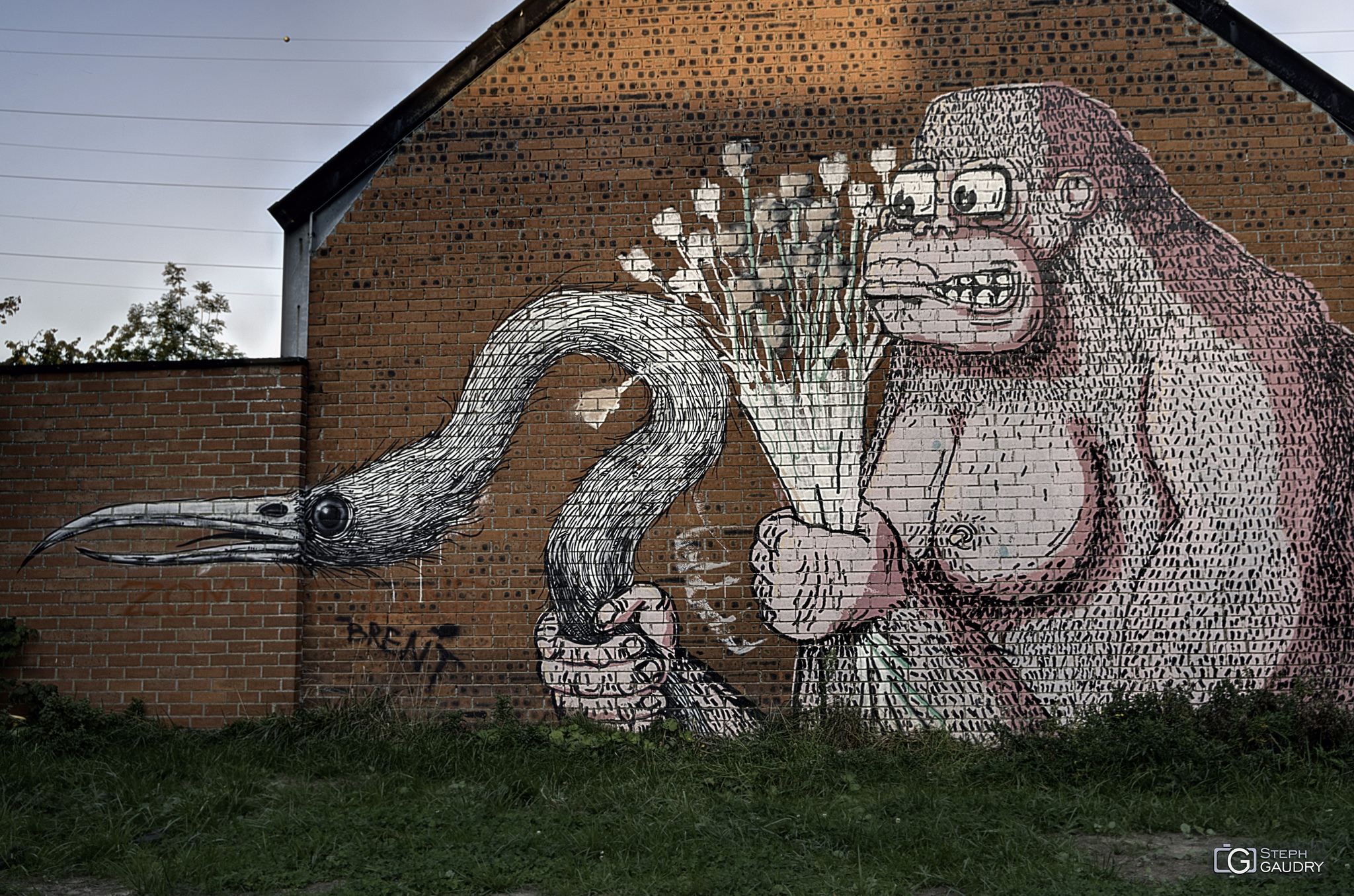 Fresques et graffiti / Doel, Proposal of marriage - gorilla version by Roa