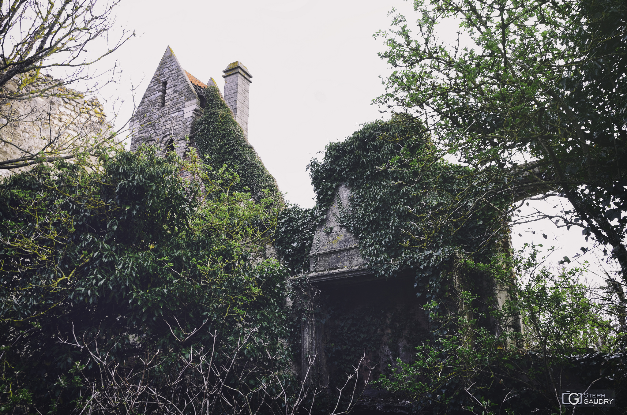 Bernard Wright's strange house - Chimney [Click to start slideshow]