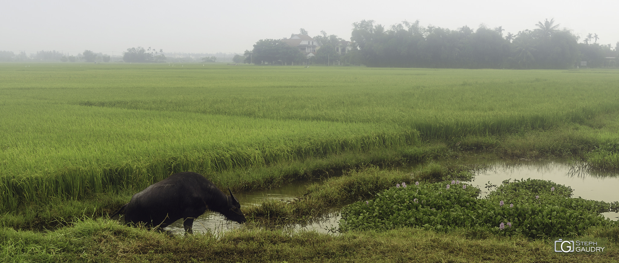 Vietnam / 2018_04_15_075202 (2018_04_15_025203)