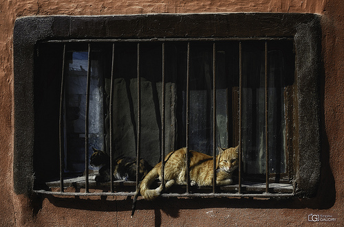 Turkish jail