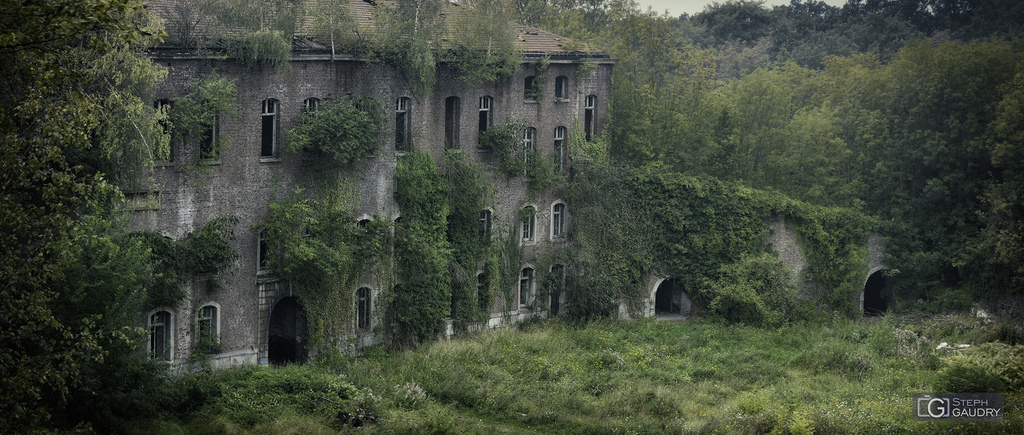 Le fort de la Chartreuse