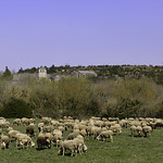 Sud de la France