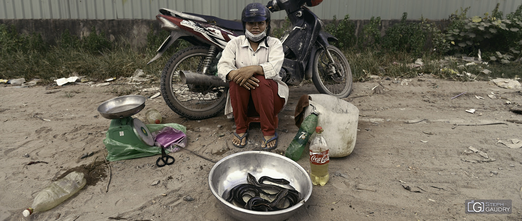 Ce soir, on mange du serpent? - 2018_04_26_120217 Ce soir, on mange du serpent? - 2018_04_26_120217