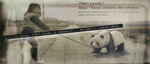 Vilain panda! Allez! Nous voulons des photos.