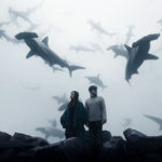 Cliquez sur la photo pour lire la suite Alexander Shark - In my head my World