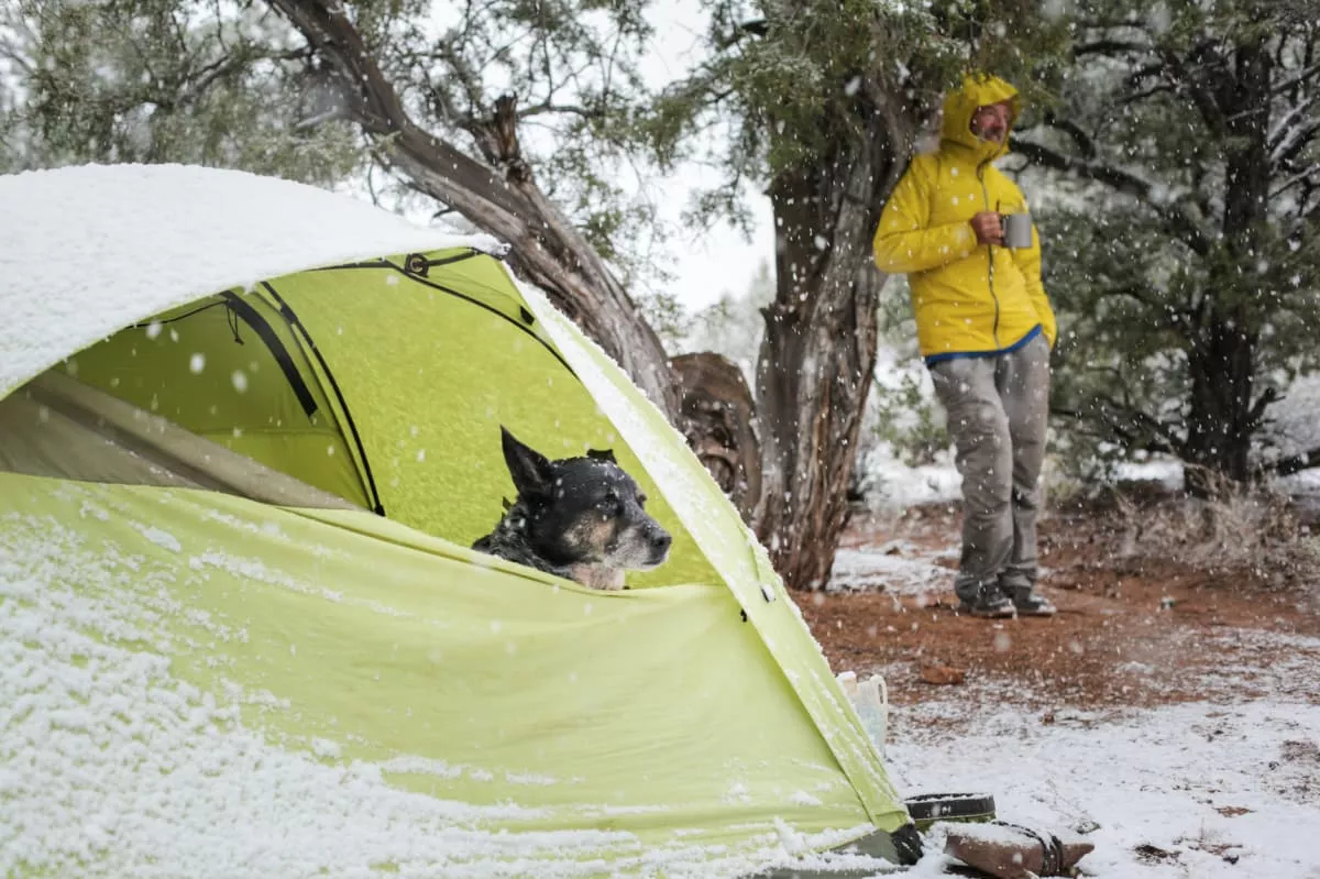 Image du film Ace and the Desert Dog