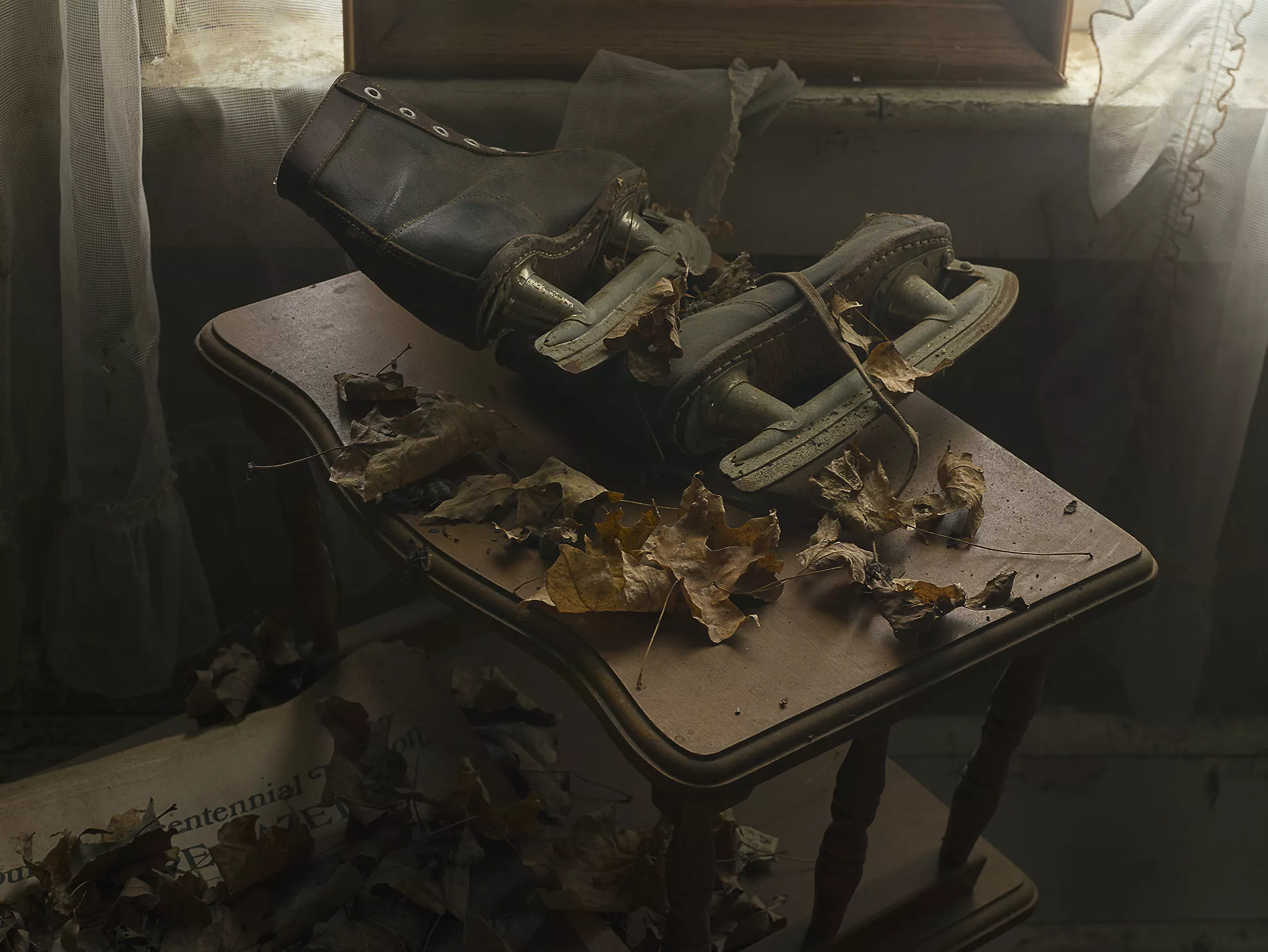 Dust - ©Rebecca Bathory