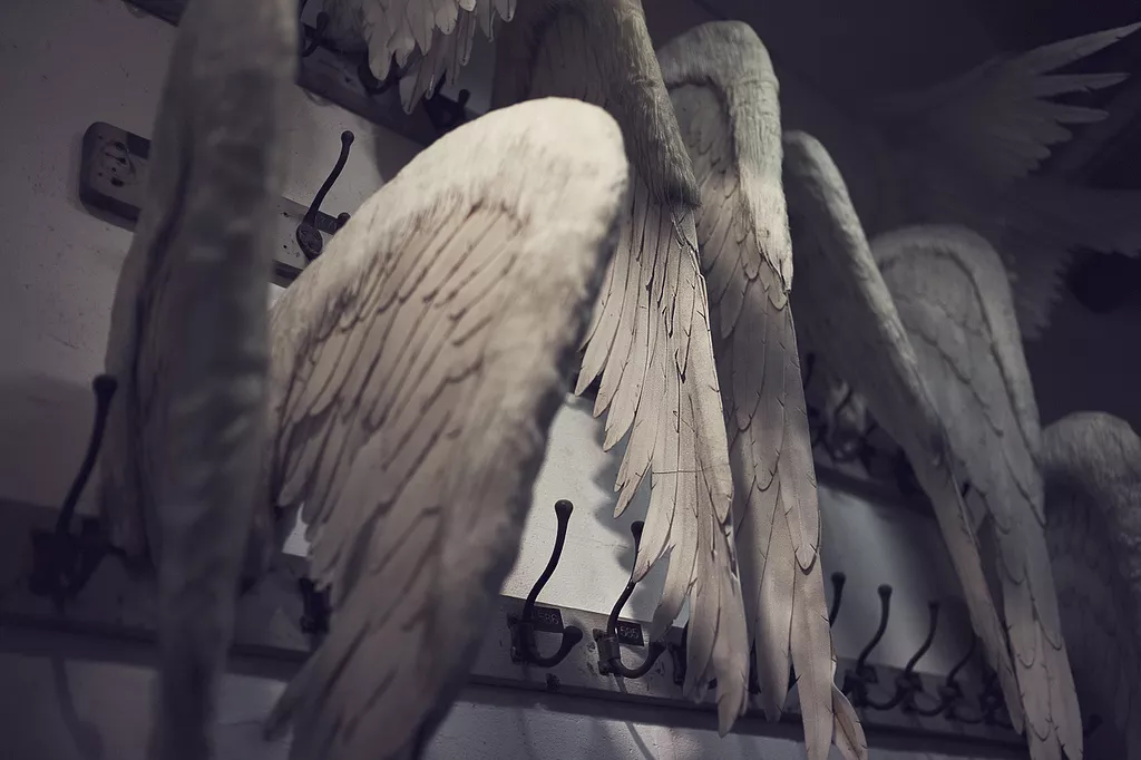 Broken wings waiting donnors - ©Woven Eye